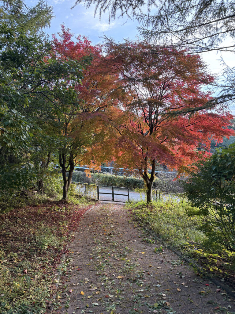 森側のサイトの突き当たり