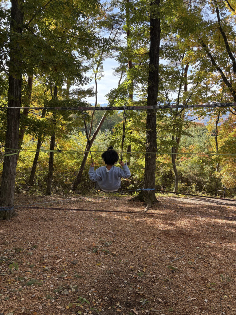 アスレチック内のブランコ