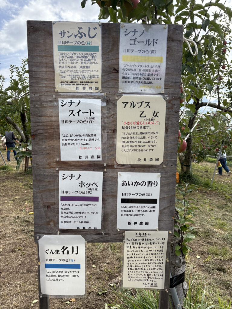 りんご狩り/松井農園