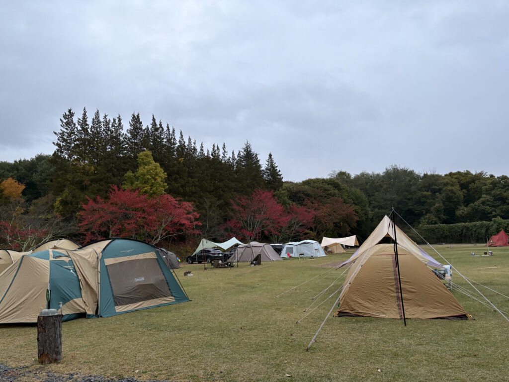 サイトの広さは9m×15m=約135㎡