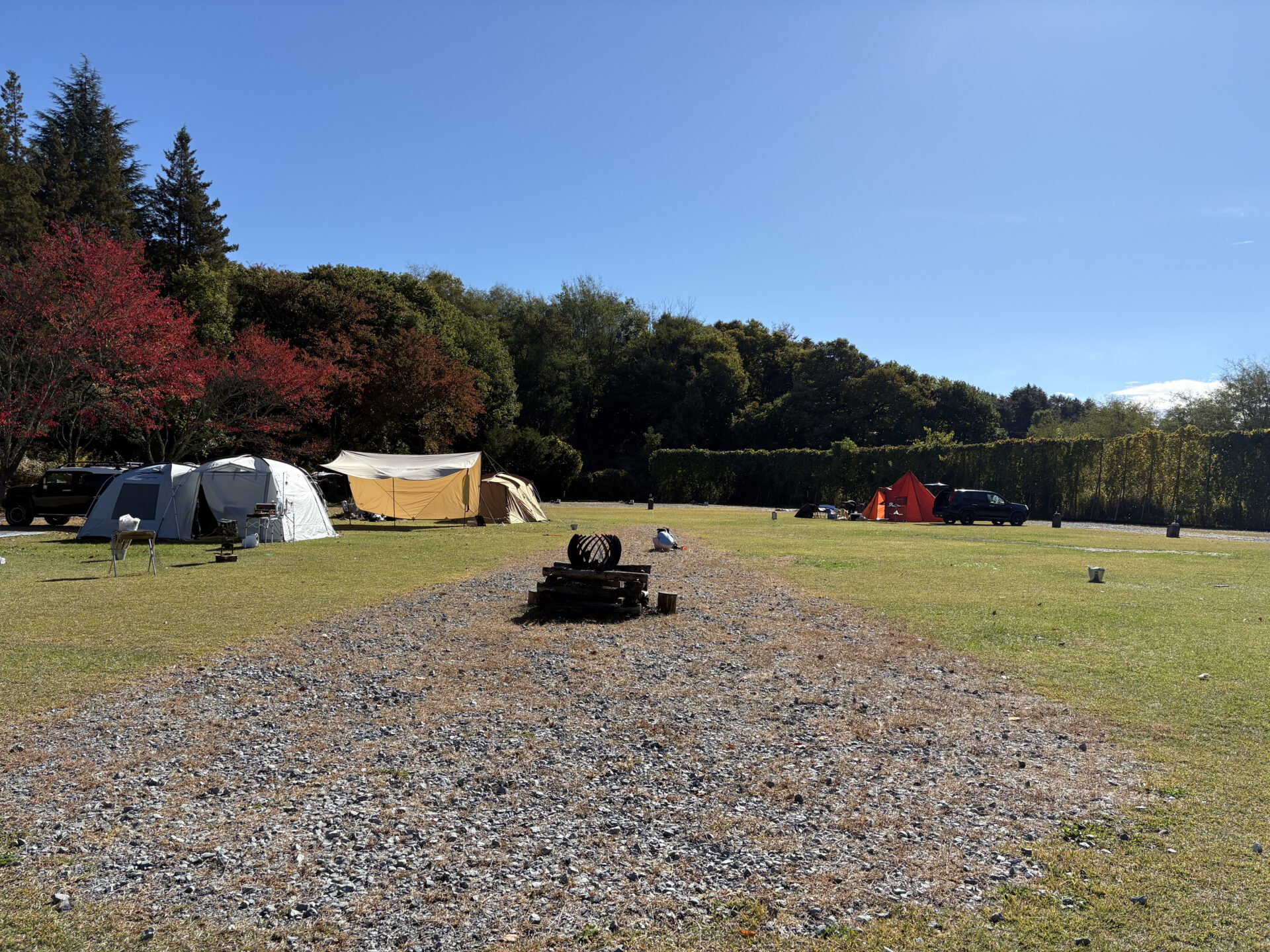 キャンプ場の雰囲気