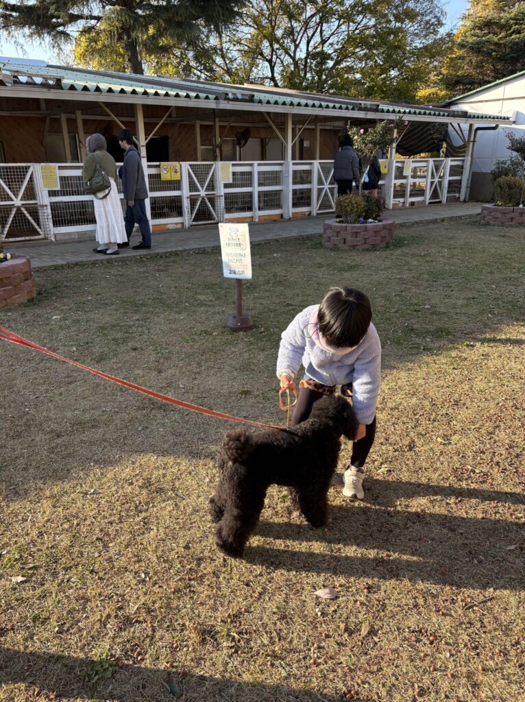 つくばわんわんランド