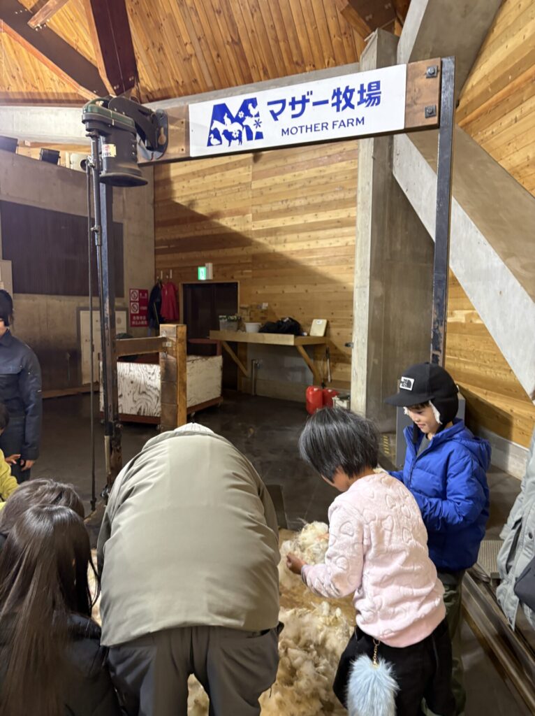 毛刈りショーのあと毛をもらう娘