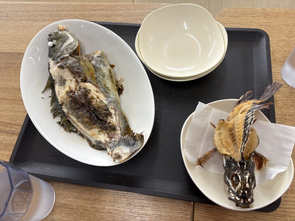 かさごの天ぷらといさきの塩焼き