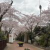 桜の時之栖