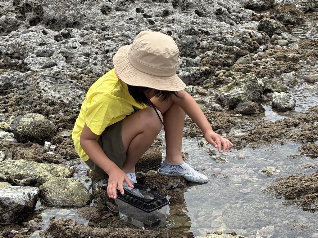 生き物探し