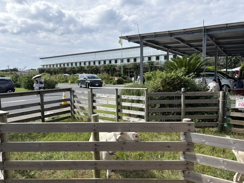 保田小学校