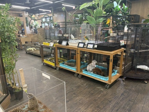 動物園では見ない動物も!